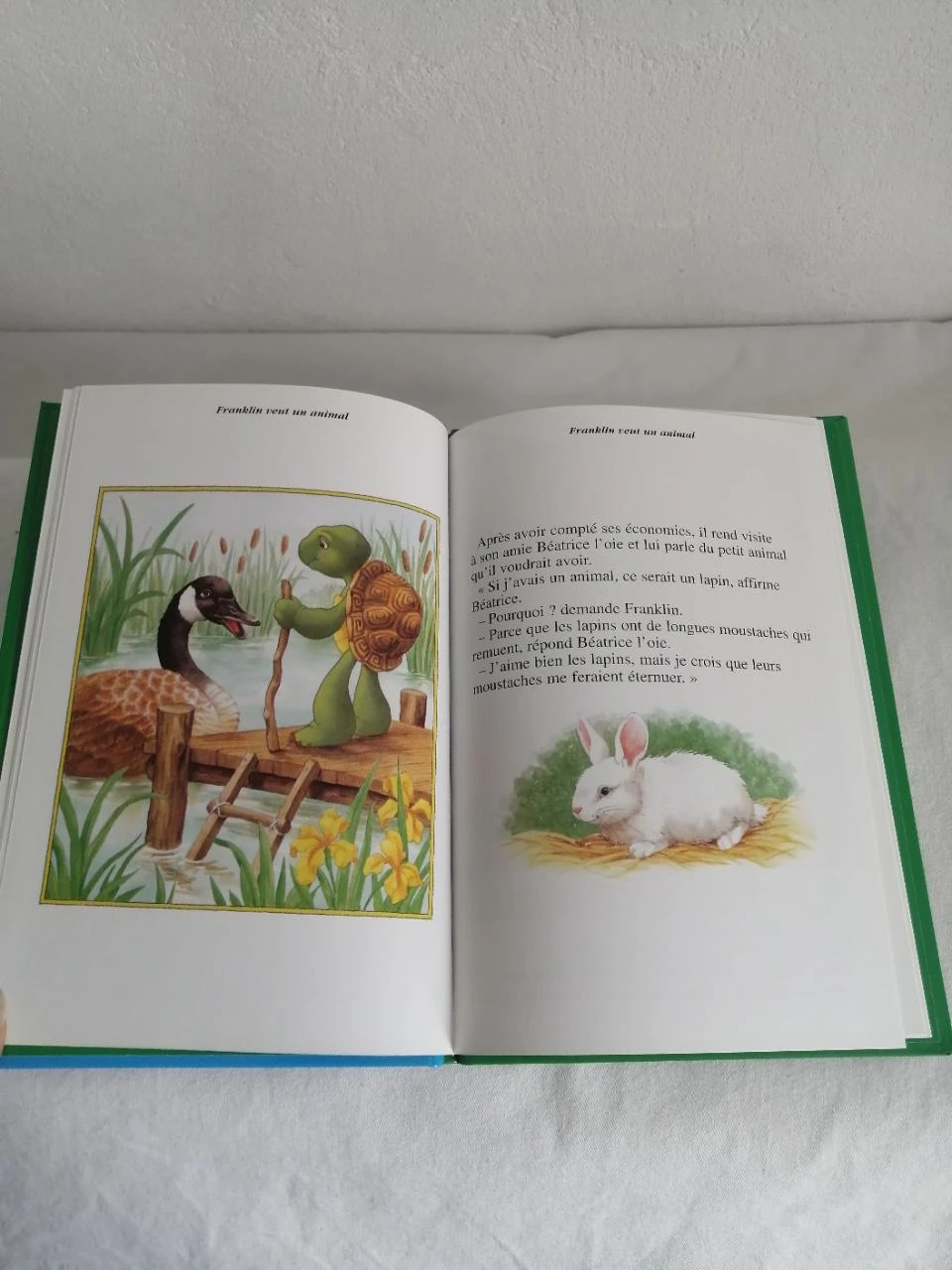 franklin wants a pet - children's book – photo 4